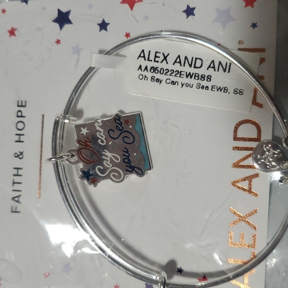 Alex and Ani OH Say Can You See Charm bracelet